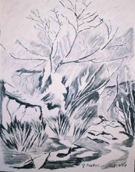 "Acacia Tree 2"