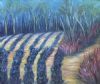"Lavender Field"