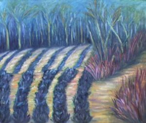 "Lavender Field"