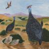 "Guineafowl 1"