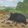 "Guineafowl 2"