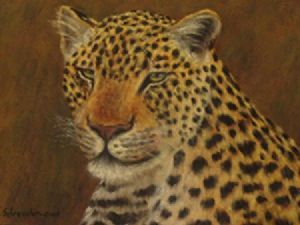 "Leopard"