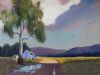 "After the Storm"