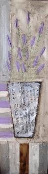 "Lavender pot plant"
