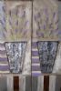 "lavender pot plants 1 &2"