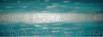 "Teal Beauty"