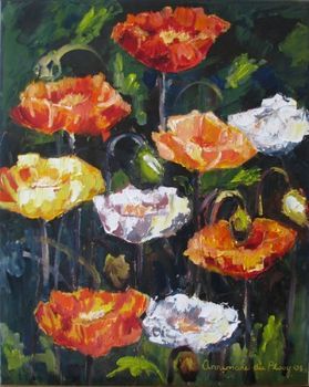 "Iceland Poppies"