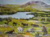 "Overberg Tranquility"