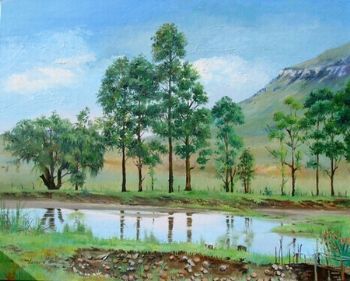 "Birdsong Dam - Wakkerstroom"