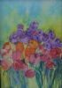 "Tulips"
