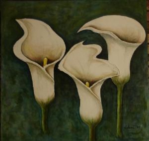 "White Arum Lily"