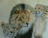 "Three Cats"