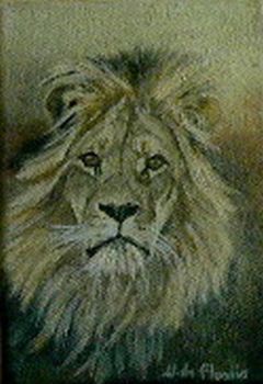 "Close Up, Lion Portrait #1"