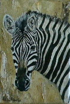 "Zebra portrait"