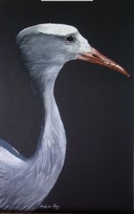 "Blue Crane Portrait"
