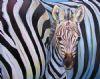 "zebra mom and baby"