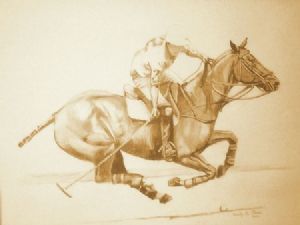 "Polo #3"