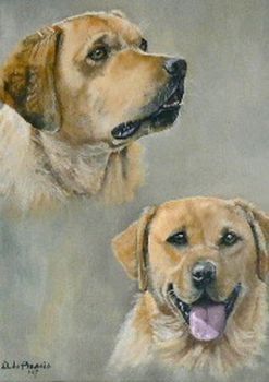"Labradors"
