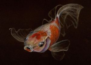 "Goldfish"