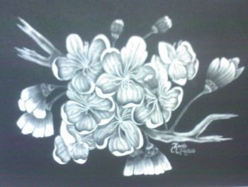 "Cherry Blossoms"