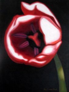 "Tulip Lale 2"