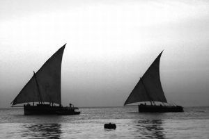 "Zanzibar Dhows"