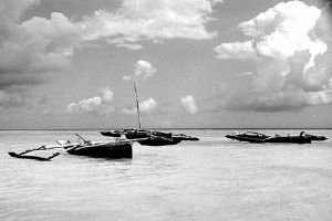 "Zanzibar Dhows"