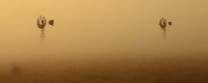 "Windmills in the Mist"
