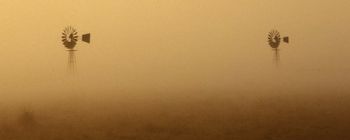 "Windmills in the Mist"