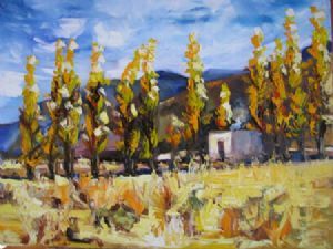 "Karoo-Surprise"
