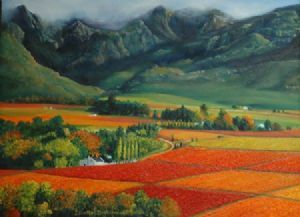 "Cape vineyard Hex river 2"