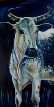 "nguni moon"