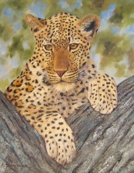 "Leopard"