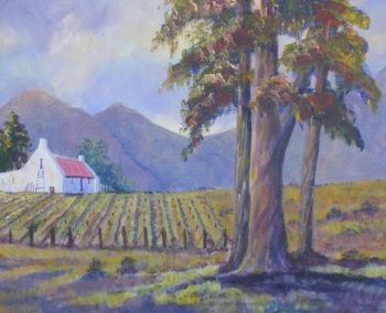 "Cape Vineyard"