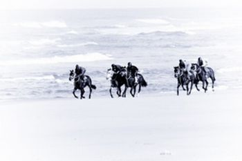 "Running Free"