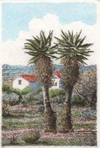 "Aloes-Aalwyne"