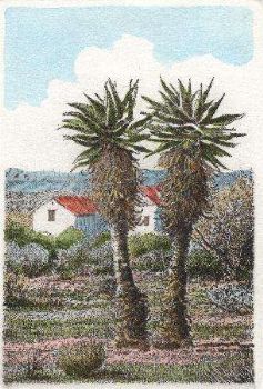 "Aloes-Aalwyne"