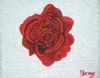 "The Rose"