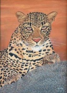 "Baby African Leopard"