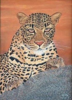 "Baby African Leopard"