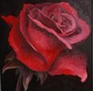 "Rose"