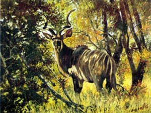 "Camouflaged Coat Kudu"