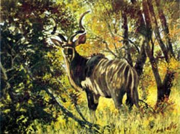 "Camouflaged Coat Kudu"