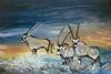 "Namibian Gems Buck in Oncoming Sandstorm"