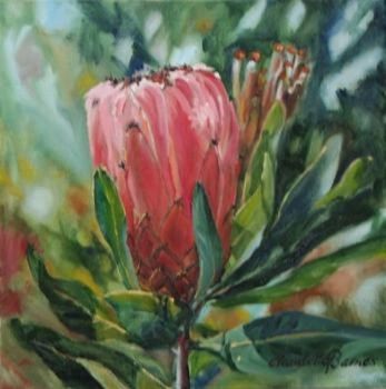 "Protea Nerifolia"
