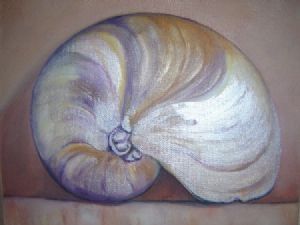 "shell"