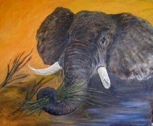 "Elephant browsing"