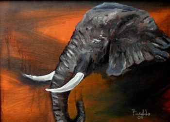 "Elephant profile"