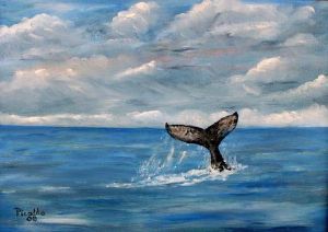 "Whale watching"