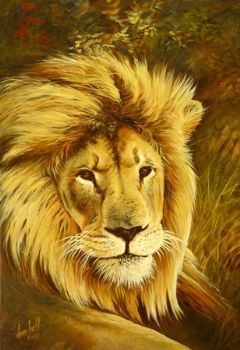 "Nebby - Sea View Lion"